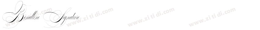 Benalline Signature字体转换